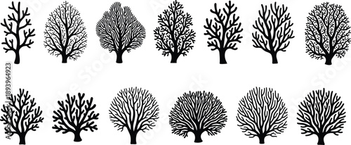 Collection of black coral silhouettes and undersea plant icons isolated on white background, vector set for marine life and ocean design.