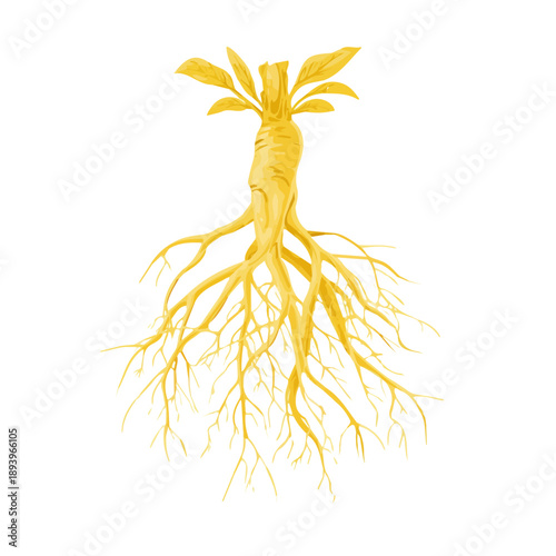 A simple and modern flat 2D vector of a Yellow Root, isolated on a pure white background.
