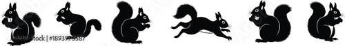 Squirrel silhouette icon set with playful woodland animals in running and sitting poses, black vector wildlife illustrations isolated on white background