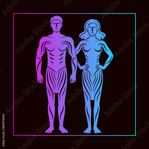 Anatomy Illustration Male Female Body Structure Medical Diagram Healthcare Physiology