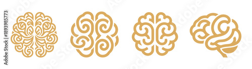 Human brain icon set flat style. vector illustration on transparent background 
