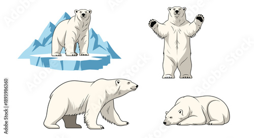 Collection of polar bear illustrations featuring different poses like standing, walking, and sleeping in an arctic environment.