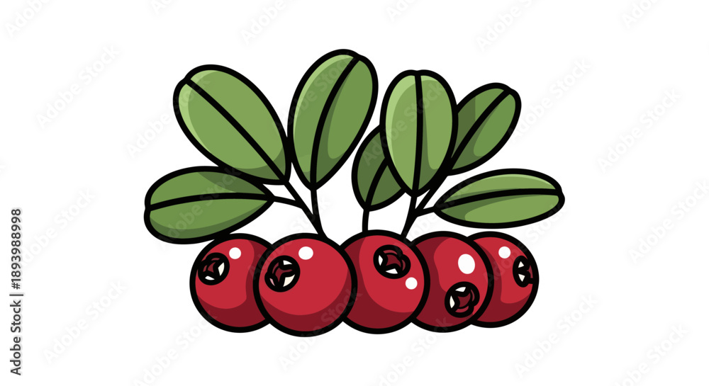 Obraz premium A cluster of ripe red cranberries with green leaves on a.