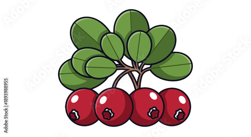 A cluster of ripe red cranberries with green leaves on a.