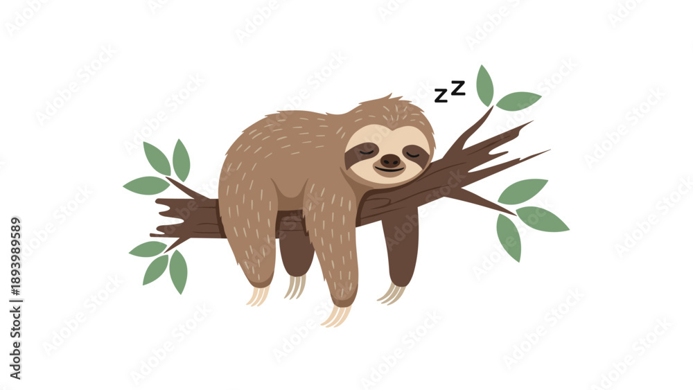 Fototapeta premium Lazy sloth sleeping comfortably on a tree branch with green leaves and a small zzz sign on a white background vector.