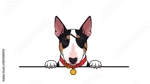 Unique bull terrier wearing a black eye patch and a red collar peeking over a horizontal line on a white background.
