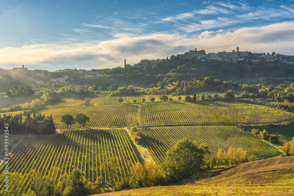 Fototapeta premium Montepulciano Skyline and Vineyards at Sunrise, Tuscany