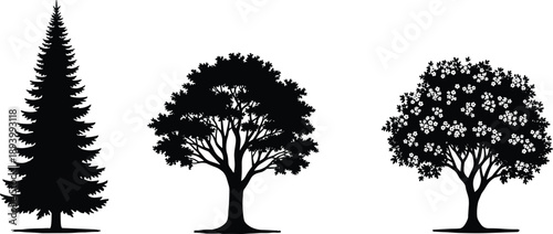 tree, silhouette, vector, black, pine, oak, blossom, foliage, nature, botanical, forest, deciduous, evergreen, flowering, graphic, landscape, plant, shape, cad, illustration
