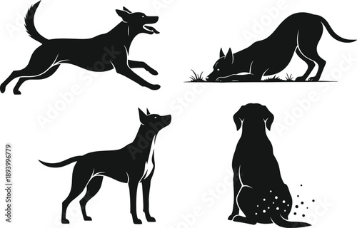 dog, silhouette, vector, black, animal, pet, pose, sitting, running, sniffing, scratching, alert, playful, behavior, canine, illustration, posture, flea, motion, domestic