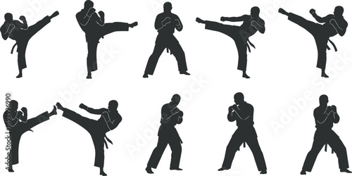 Karate, Martial, Arts, Fighter, Kick, Punch, Combat, Training, Sport, Athlete, Silhouette, Action, Selfdefense, Technique, Powe