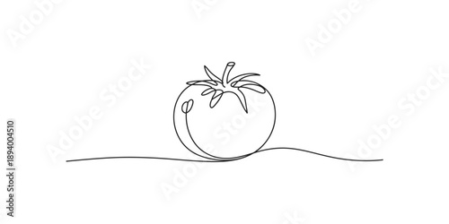 A minimalist continuous single line art drawing of a fresh tomato illustration