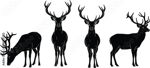 Deer silhouette collection showing stag with antlers in different standing and grazing poses wildlife vector illustration