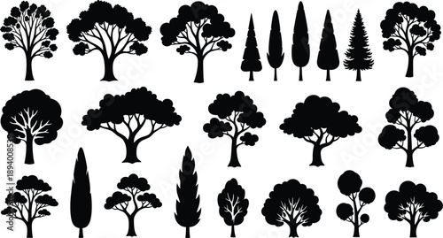 Variety of Black Tree Silhouettes Isolated on White