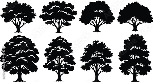Group of Detailed Black Tree Silhouettes Isolated