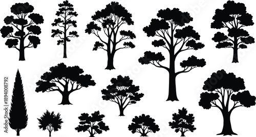 Assortment of Black Tree Silhouettes Isolated on White