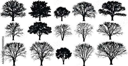 Diverse Black Tree Silhouettes with Detailed Bark and Branches