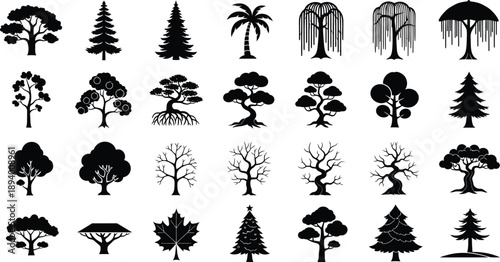 Variety of Black Tree Silhouettes, Including Palm and Pine