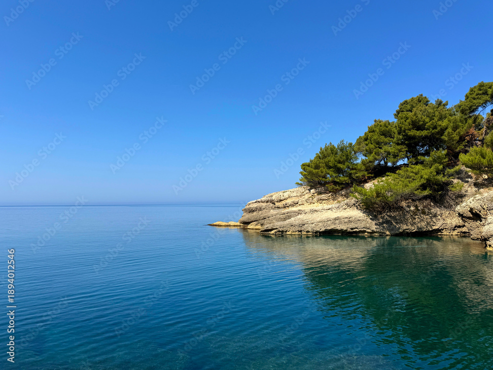 Obraz premium Rocky shoreline with pine trees and Adriatic sea clear blue water.