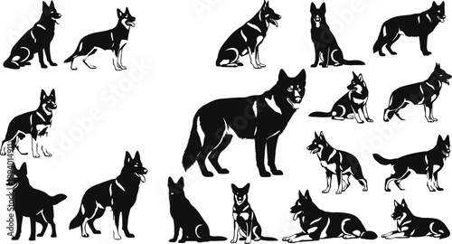 Black wolf silhouettes collection, wild canine poses, animal vector illustration set, isolated nature wildlife design for logo branding, tattoo print