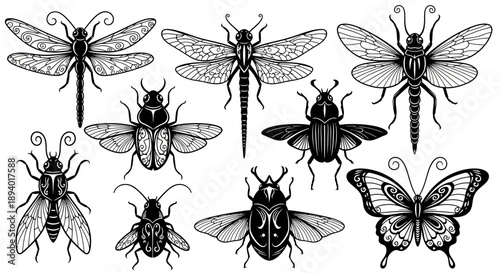 set of black and white butterflies