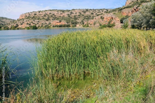 A body of water with a lot of grass growing around it