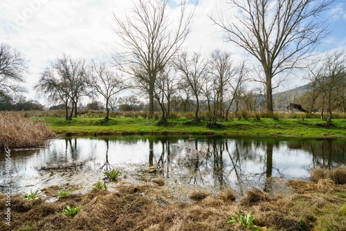 A field with a body of water and trees in the background