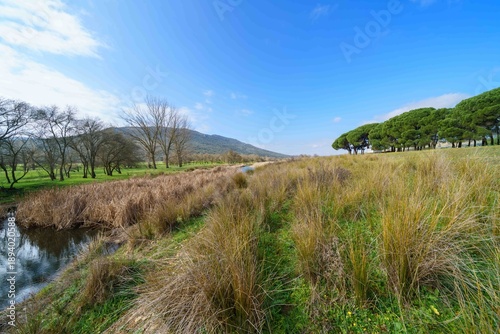 A field with a river running through it and a few trees in the background