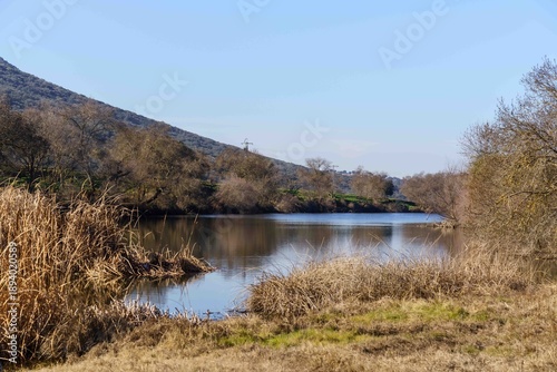 A river with a few trees in the background
