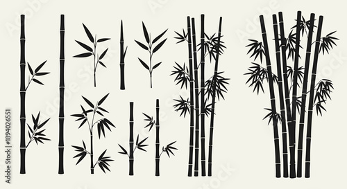 Bamboo stalks and leaves in a serene landscape, depicted in a minimalist black and line art style from a frontal viewpoint, featuring various plant elements