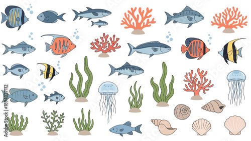 Collection of Various Ocean Creatures and Plants.