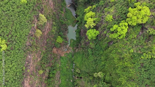 Top-down drone aerial view flight along Ravine Bernica river gorge with small birds passing below, Saint-Paul, Reunion Island