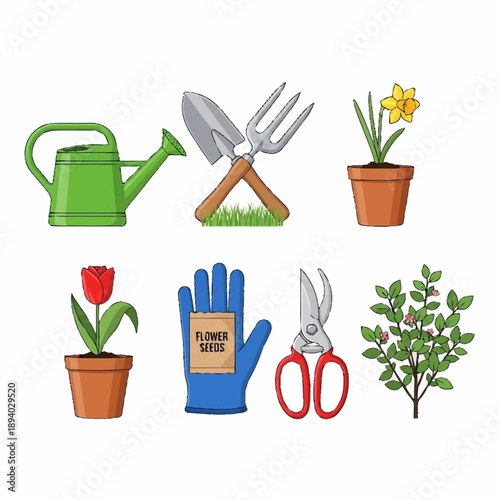 Gardening tools and potted plants collection for spring planting.