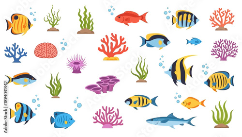 Colorful Fish and Coral Sea Creatures.