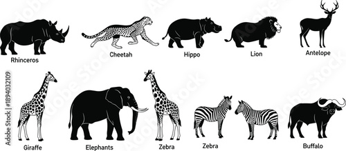 Collection of African wildlife silhouettes featuring lion, elephant, rhino and more isolated on white background for zoo or nature vector.