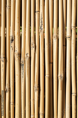 New bamboo wall from vetical sticks closeup