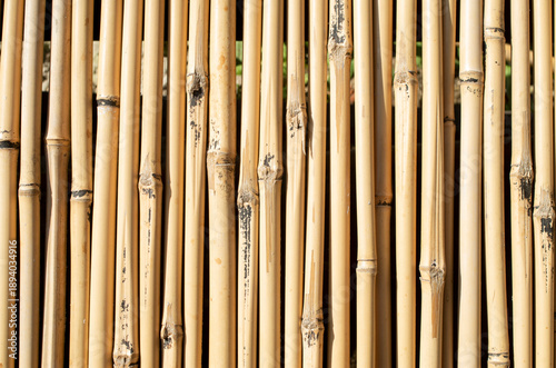 New bamboo wall from vetical sticks closeup