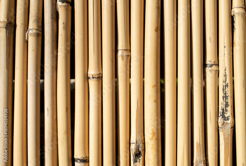 New bamboo wall from vetical sticks closeup