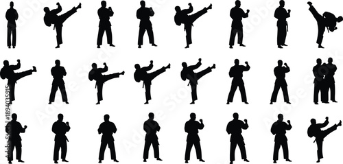 Martial Arts Silhouette Set with Karate and Taekwondo Fighters Performing High Kicks Poses and Combat Stances for Sports Graphic Design