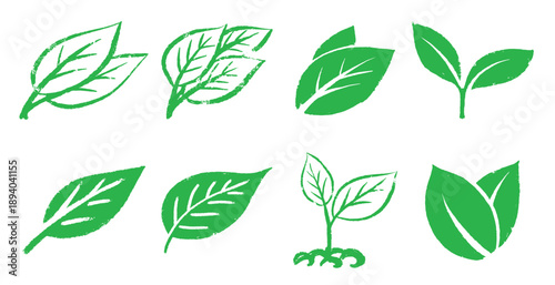 Green leaf and collection of grunge leaves for ecology logo. Simple elements of tree and bio, vegan symbols. Hand drawn brush made growing plant. 