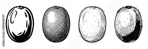Four hand-drawn fruit illustrations in different artistic styles showing various graphic techniques like cross-hatching, stippling, and bold line art in a monochrome design set