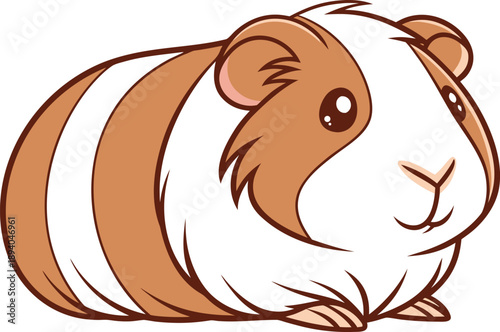 Guinea pig single animal illustration. Cute guinea pig animal illustration. Guinea pig pet animal design. Small guinea pig animal illustration. Guinea pig isolated animal design. Domestic guinea pig