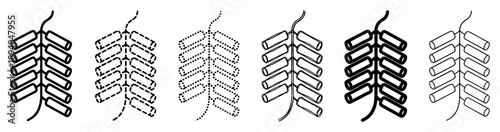 Set of six firecracker icons in various line styles including solid, dashed, dotted, and hand-drawn for festive celebration concepts and graphic design elements