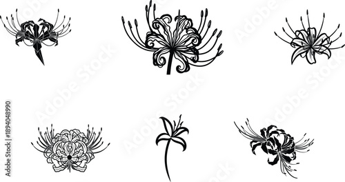 set of five different spider lily flower designs in black and white