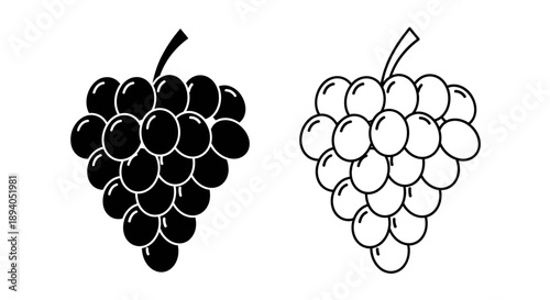 Black and white grape illustration Vector