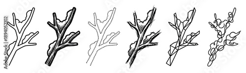 Set of six tree branch illustrations showing different artistic styles like line art, woodcut, sketch, geometric, dotted, and continuous line for graphic design elements