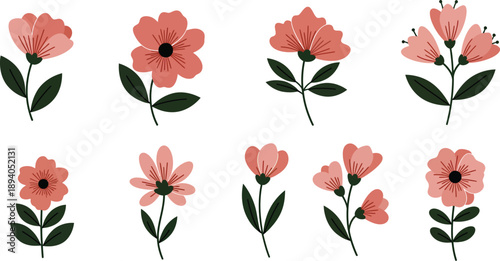 Watercolor illustration of multiple pink flowers on white background