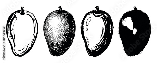 Four hand-drawn mango fruit illustrations in different artistic styles, including outline, crosshatching, brush stroke, and silhouette, creating a graphic set of tropical fruit icons