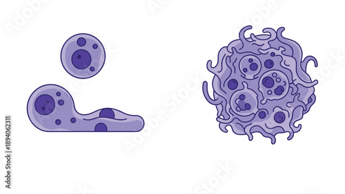 Stylized microscopic illustration of biological cells or organisms in shades of purple showing different stages of growth and structure.