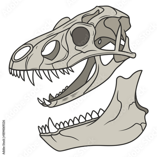 Realistic archaeology of jaw fossils laid skull dinosaur