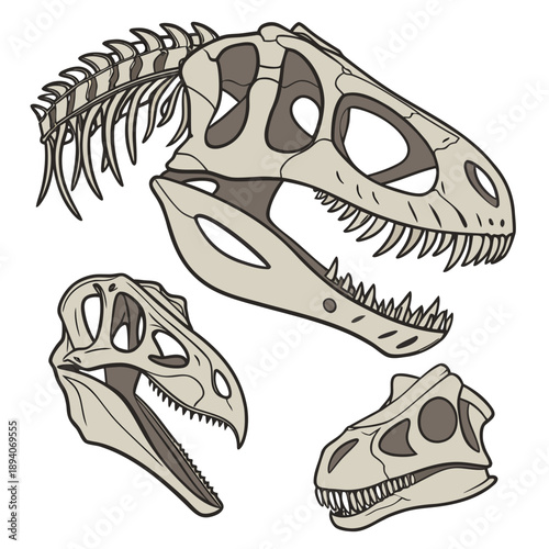 Of three dinosaur skeletal jaw fossils arranged beige